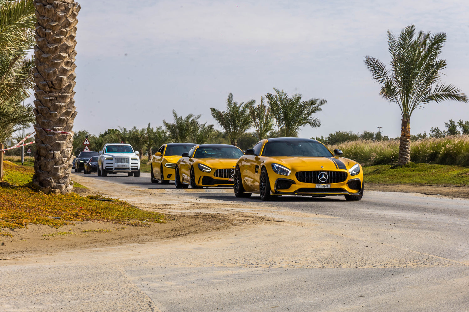 Nov 8 - F1 Brazilian GP Viewing